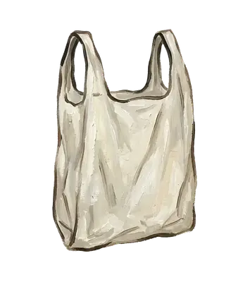 کیسه پلاستیکی